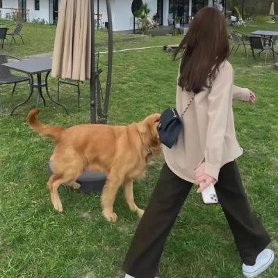皮相猎影