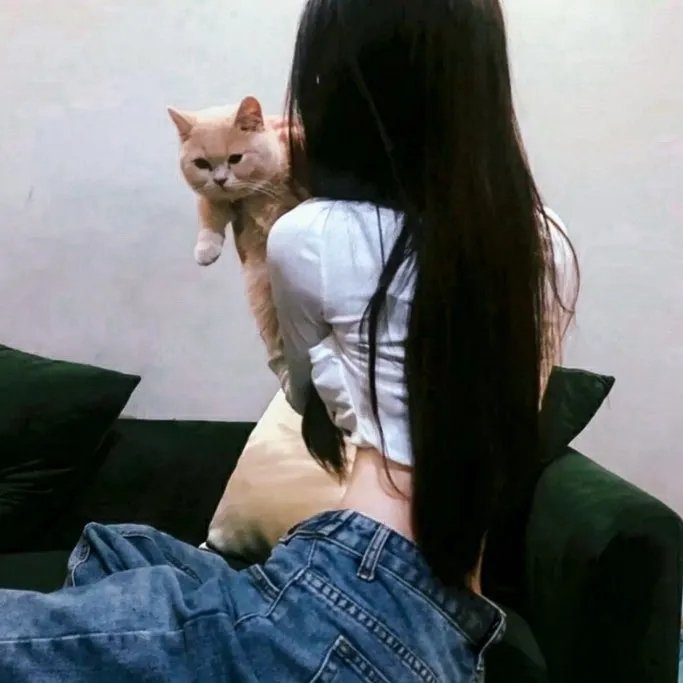 爱的笨猪跳